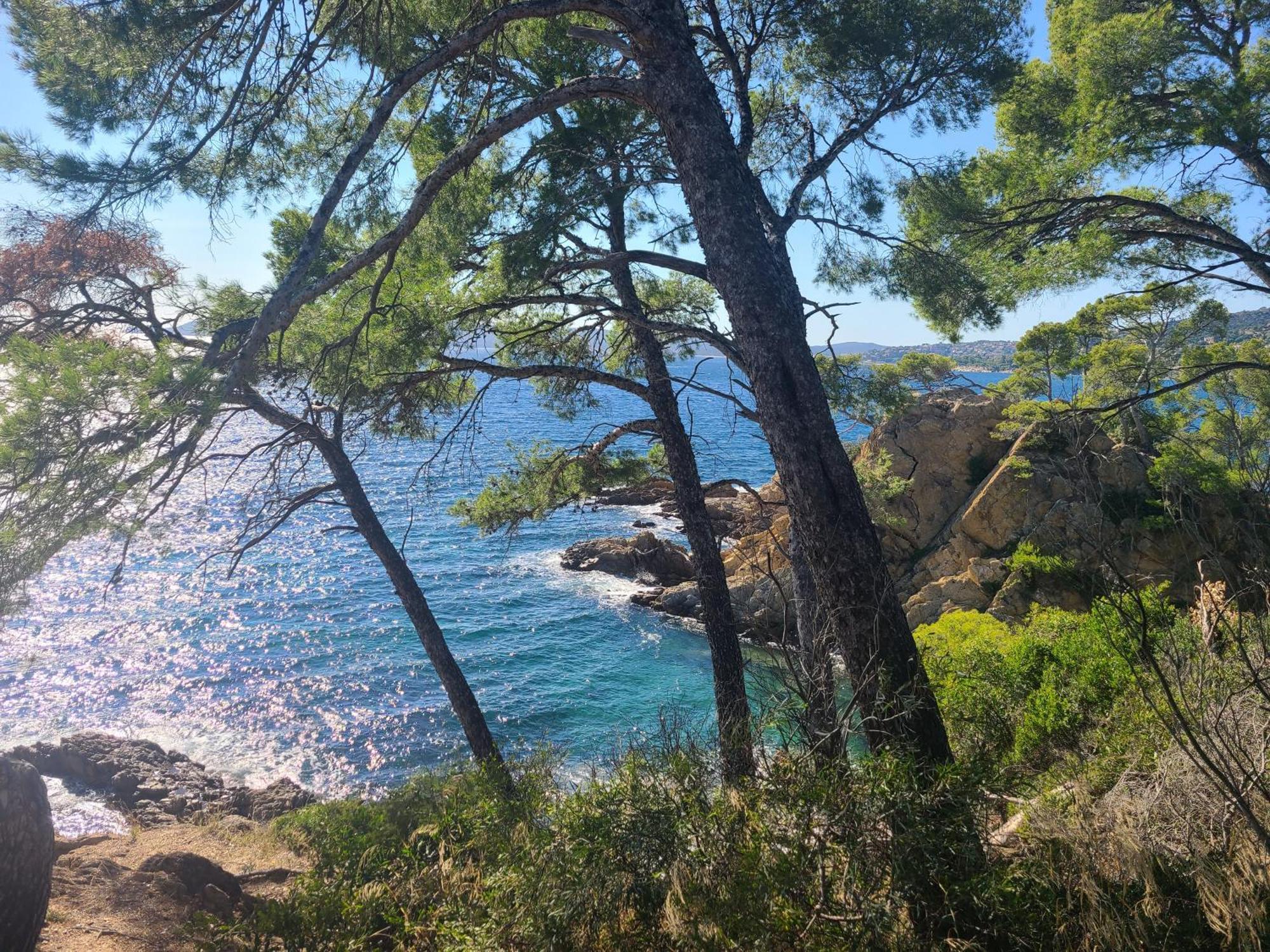 Evasion Nature A Cap Esterel Jardin, Mer & Golf Tout Confort Сен-Рафаель Екстер'єр фото